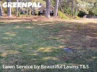 Lawn Cut nearby Covington, GA, 