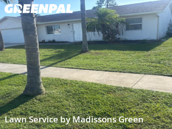 Grass Services in Royal Palm Beach, 33411, Yard Services by Madissons Green, work completed in Nov , 2025