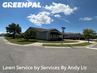 Lawn Cut nearby Oldsmar, FL, 