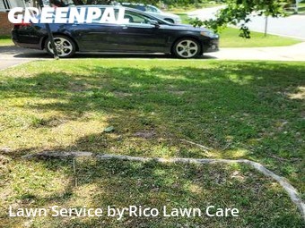 Lawn Cut nearby Raleigh, NC, 