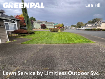 Lawn Services in Auburn, 98092, Grass Services by Limitless Outdoor Svc, work completed in Nov , 2025