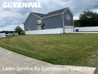 Grass Cut nearby Virginia Beach, VA, 