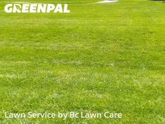 Lawn Cutting nearby Raleigh, NC, 