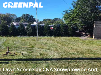 Lawn Mowing Service nearby Des Plaines, IL, 