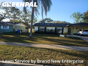 Grass Cut nearby Tampa, FL, 