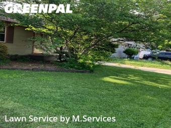 Lawn Cut nearby Greensboro, NC, 