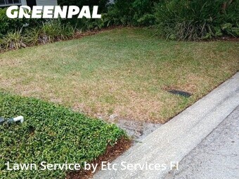 Grass Cutin Tampa,33618,Lawn Care by Etc Services Fl, work completed in Jun , 2026