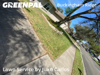 Yard Cutting nearby Austin, TX, 