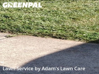 Lawn Cut nearby St. Louis, MO, 