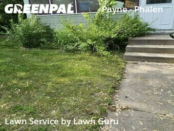 Yard Cutting nearby Saint Paul, MN, 