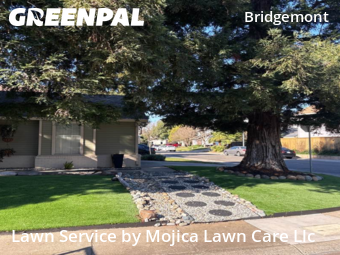 Work completed by residential-lawn-cutting-businesses-in-Citrus Heights-CA
