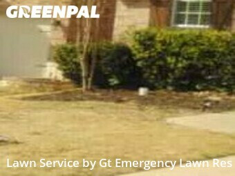 Lawn Mow nearby Frisco, TX, 