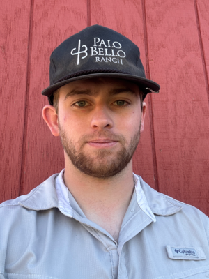 landscaping-installation