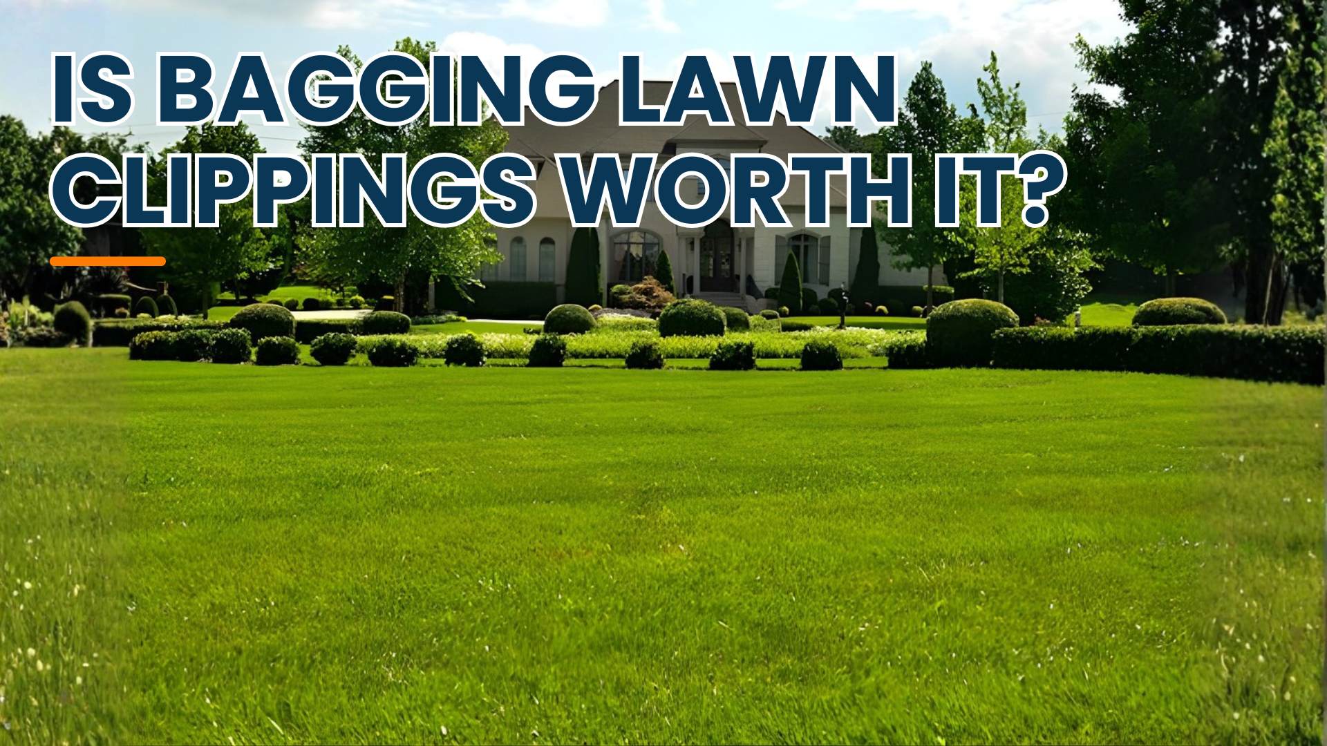 Should I bag my lawn clippings? Is it worth all the extra hassle?? By Greenpal