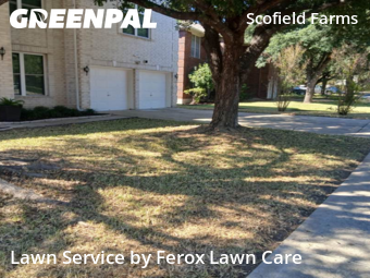 Lawn Maintenance in Austin, 78727, Lawn Care by Ferox Lawn Care, work completed in Nov , 2025
