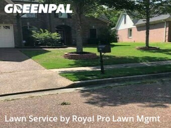 Grass Cutting nearby Collierville, MS, 
