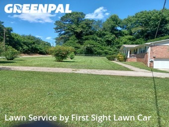 Grass Cut nearby Center Point, AL, 