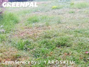 Lawn Care Service nearby Turlock, CA, 