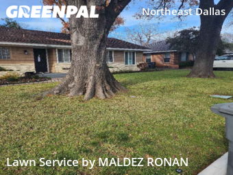 Lawn Mowingin Dallas,75231,Lawn Mowing by MALDEZ RONAN, work completed in Feb , 2026