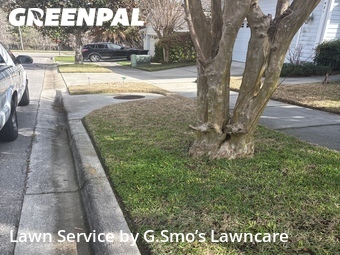 Lawn Care Service nearby Gainesville, FL, 