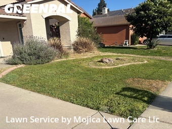 Work completed by the-yard-cutting-businesses-in-Elk Grove-CA