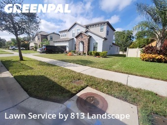 Grass Cut nearby Tampa, FL, 