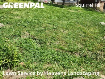 Lawn Maintenance nearby Pittsburgh, PA, 