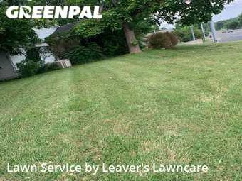 Lawn Service nearby Murfreesboro, TN, 