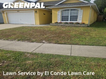 Grass Cut nearby Kissimmee, FL, 