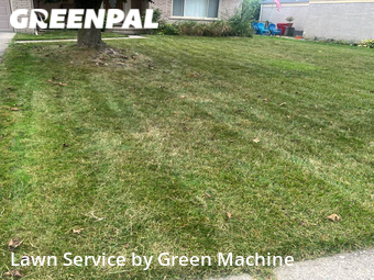 Lawn Mow nearby Southfield, MI, 