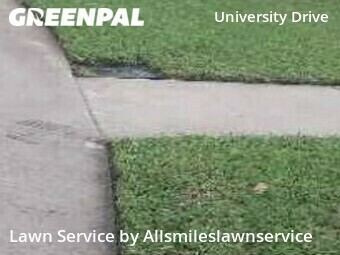 Yard Cutting nearby Coral Springs, FL, 