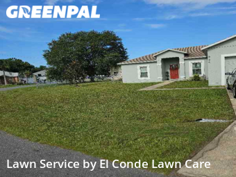 Lawn Mow nearby Kissimmee, FL, 