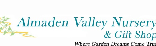 Best Nursery in Santa Clara California 4