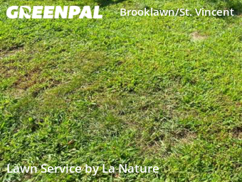 Lawn Cutting nearby Bridgeport, CT, 