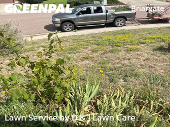 Lawn Service nearby Colorado Springs, CO, 