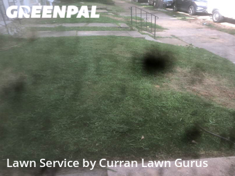 Lawn Mow nearby St. Louis, IL, 