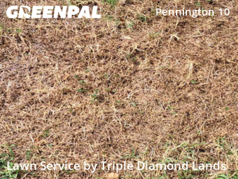 Lawn Maintenance nearby Oklahoma City, OK, 