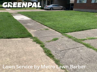 Grass Cut nearby Louisville, KY, 