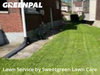 Grass Cut nearby Pittsburgh, PA, 