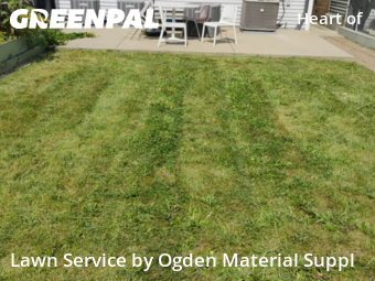 Lawn Maintenance nearby Chicago, IL, 