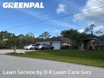 Yard Cutting nearby Palm Coast, FL, 