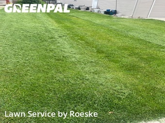 Lawn Mow nearby Bloomington, IL, 