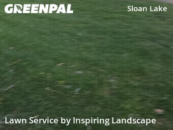 Yard Mowing nearby Denver, CO, 