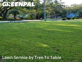 Lawn Mow nearby Charleston, SC, 