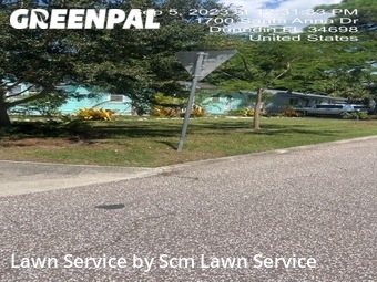 Yard Cutting nearby Dunedin, FL, 