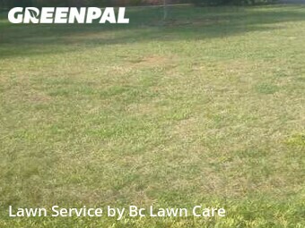 Lawn Cutting nearby Raleigh, NC, 