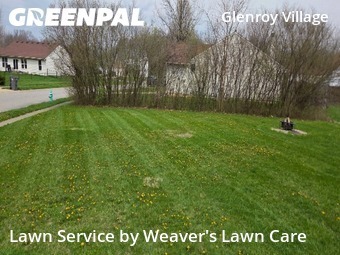 Grass Cut nearby Indianapolis, IN, 