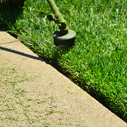 cheap-lawn-cutting-businesses-in-Jollyville-TX