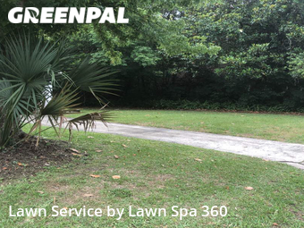 Grass Cutting nearby Jacksonville, FL, 