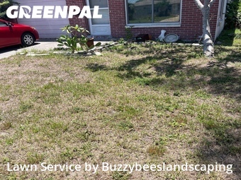Lawn Cutting nearby St. Petersburg, FL, 